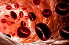 Что делать, если эритроциты в крови повышены и опасно ли это?